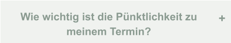 Wie wichtig ist die Pünktlichkeit zu  meinem Termin? +